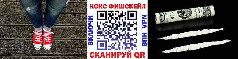 COCAIN Fish Scale  Купить  Краснодар 