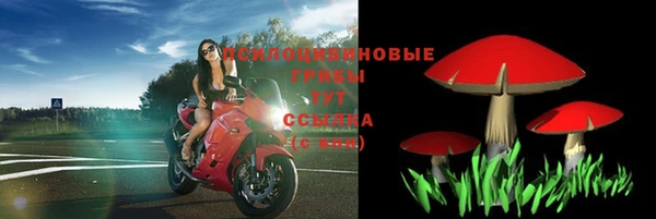ешки Козельск