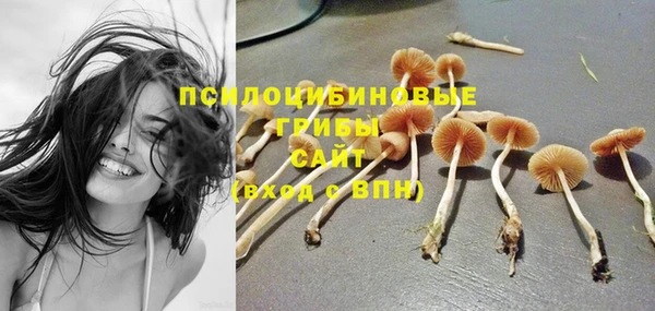 MDMA Premium VHQ Кодинск