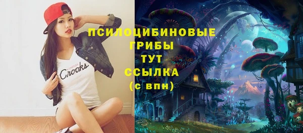spice Козловка