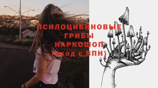ешки Козельск