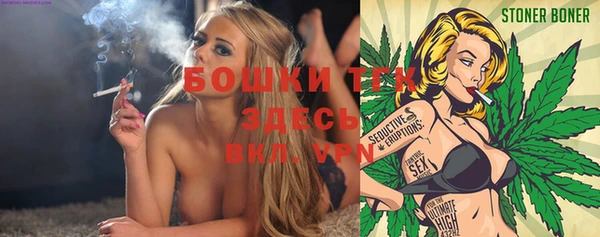 ешки Козельск