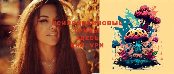spice Козловка