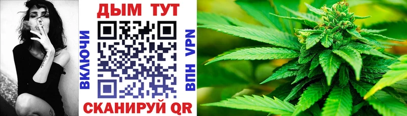 Купить где  Краснодар  Канабис ГИДРОПОН 